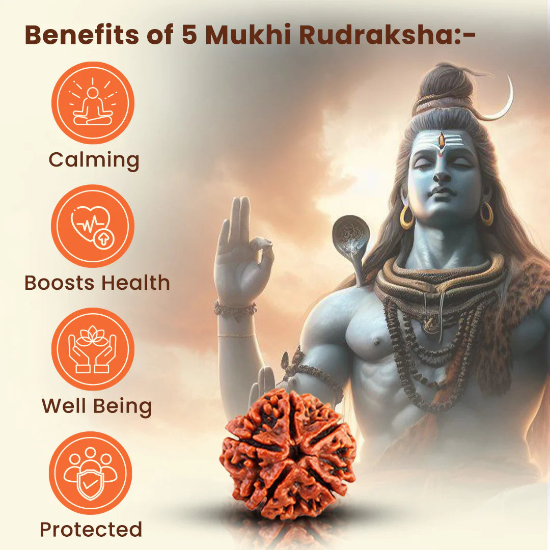 Om Shiva Divine Rudraksha Combo